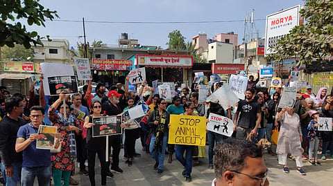 Morcha