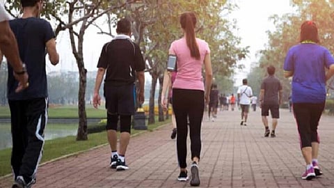 Morning_Walk