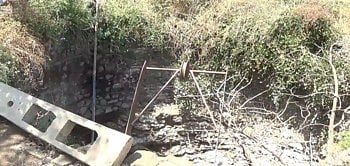 खायला नाही..प्यायला नाही जन्मदात्याला चिंता...शेवटी मुलींचा केला खून ! 