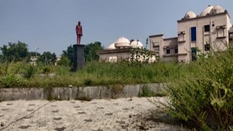 grass is growing around statue of vasantrao naik in yavamal district 