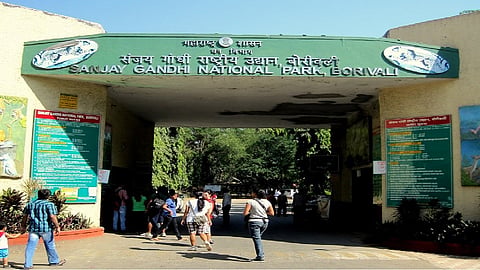 नॅशनल पार्कमध्ये खासगी वाहनांना प्रवेश बंदी, सफारीसाठी असणार इलेक्ट्रीकल बस