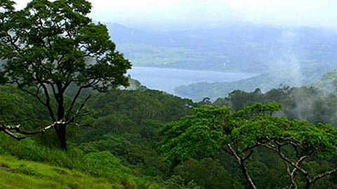 Nature
