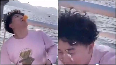News seagull give punishment to boy who play with their emotions viral video.jpg