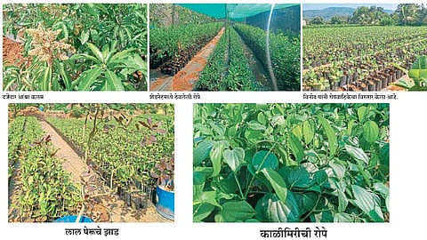 Nursery