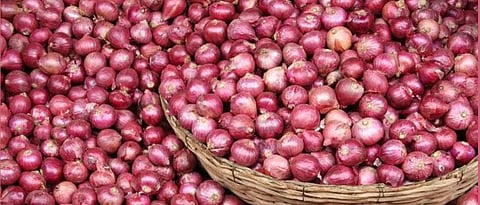 Onion