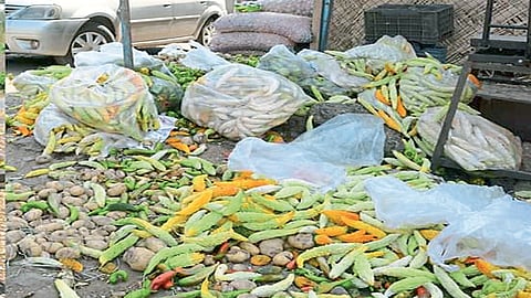 लाखमोलाचा शेतमाल कचराकुंडीत; रस्त्यावर फेकून देऊन अश्रू ढाळीतच त्यांना घर गाठावे लागले