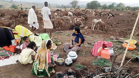 Satara