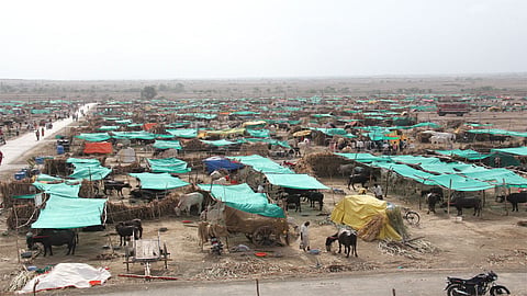 Satara