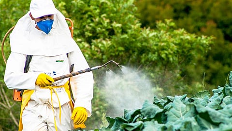 Pesticides