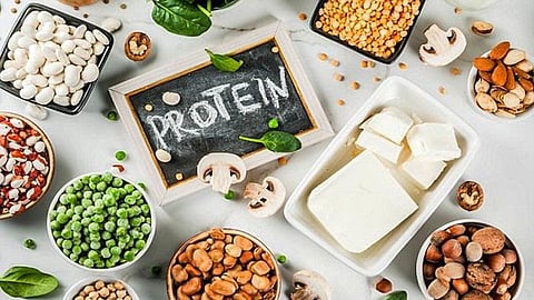 Protein