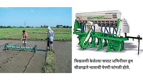 Rice sowing machine