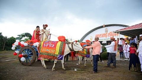 सौंदाणे : बैलगाडीतून वऱ्हाडींसह घरी परतताना योगेश खैरनार व ज्योती खैरनार. 