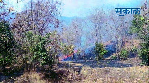 Satpuda 