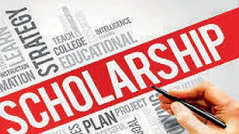 Scholarship