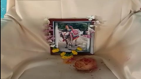 Farmer did all Dashkriya widhi of his bull after him 