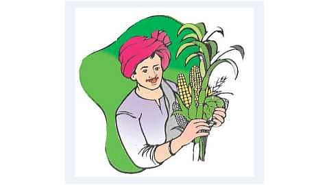 Complaint of Consumer Panchayat to Agriculture Officer in Karmala taluka