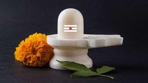  News Information Mahashivratri Horoscope 
