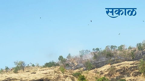 Tree Burn Fire on Baner Tukai hill 