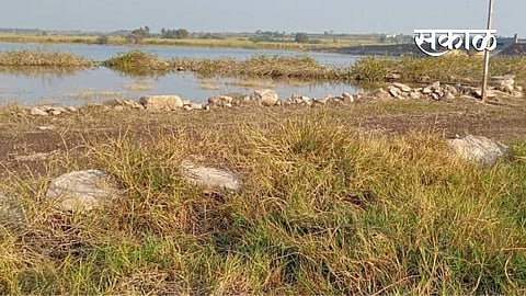 Ujani Backwater