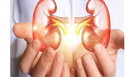 Kidney donated to sister's husband kolhapur marathi news