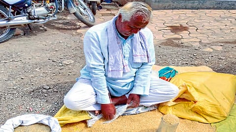 वर्धा : रस्त्याच्या कडेला ज्वारी विकताना वसंतराव दौलमवार.