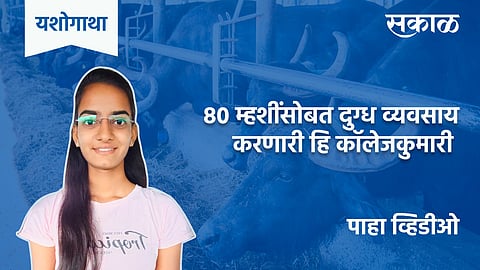 Modern Dairy Success Story
