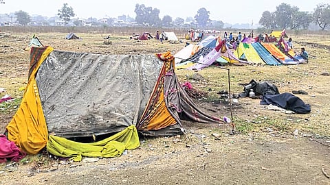 Struggles to fill the stomachs of foreign workers struggle story