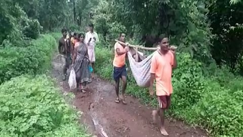 बाळांतपणासाठी अदिवासी महिलेला झोळीत टाकून नेले; मुंबईच्या जवळपासच्या अदिवासी पाड्यांमध्ये अद्यापही रस्तेच नाही