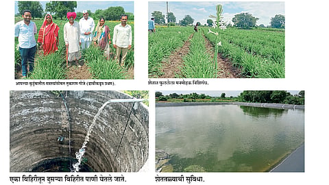 आर्थिक प्रगतीसाठी युवकाने निवडला फूलशेतीचा मार्ग  