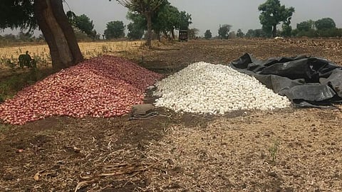 Akola