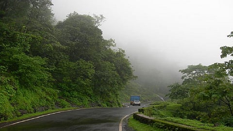 Business dependence on tourism in trouble 