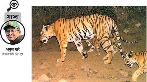 anuj khare