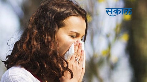सतत येणाऱ्या शिंका पासून त्रस्त आहातं; हे घरगुती उपचार अवलंबा आणि आराम मिळवा 