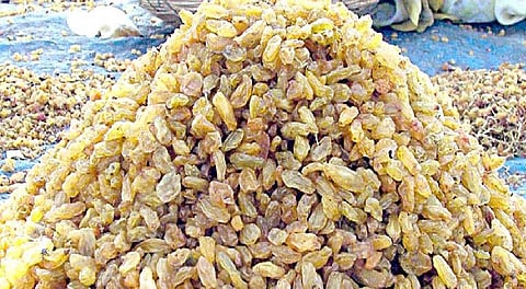 Bedana exports will be registered online