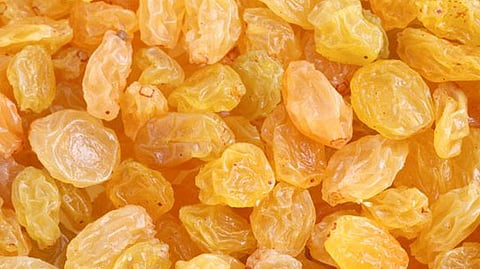 raisins 