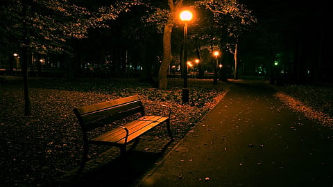 bench 2.jpg