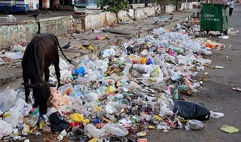  Akola News: Biomedical waste is dumped near drinking water at Karanja!
