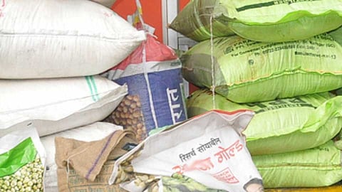B.T. बियाणे उपलब्ध होणार मेअखेरीस