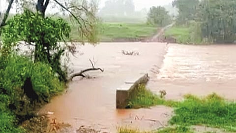 Heavy rains for second day in a row in Chandoli area