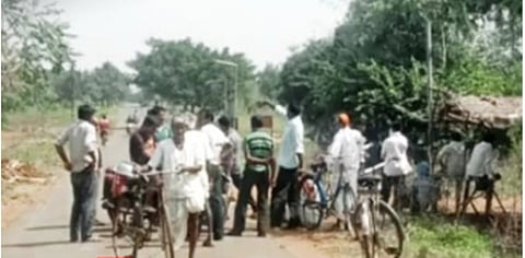 Bees attack funeral procession in Chandrapur