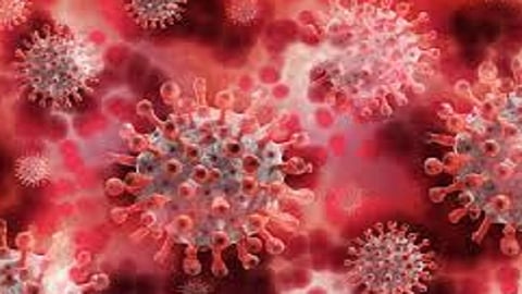 kolhapur collector decided coronavirus testing home to home in district and person to person