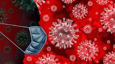 corona virus.jpg