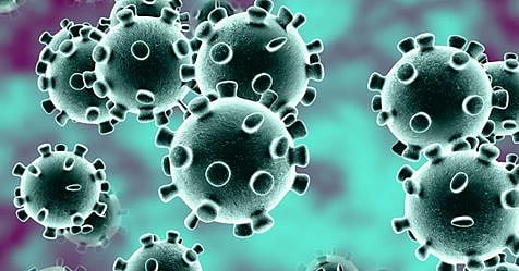 corona virus