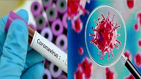 coronazone.jpg