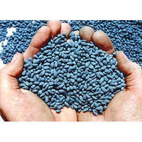 cotton seeds