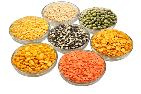 dal