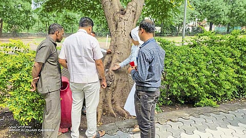 Seven and half thousand people get dengue in the state
