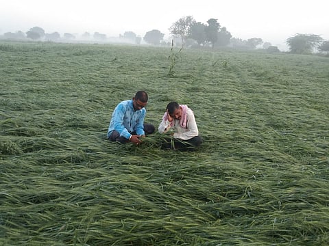 अवकाळीचा पावसाचा नगाव परिसलाला तडाखा 