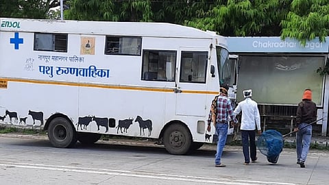 dog has cough in south Nagpur people have fear of corona  
