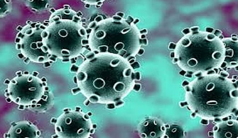 coronavirus security all people in ratnagiri kokan marathi news 
